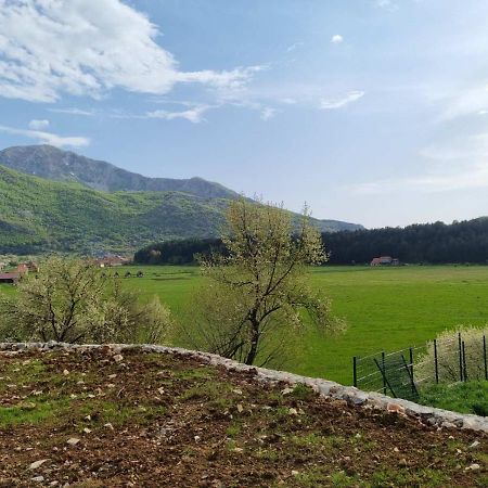 Porto Njegusi A2 Lägenhet Cetinje Exteriör bild
